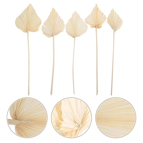 Arreglo decorativo de hoja de palma seca blanco 5 piezas miniatura 5
