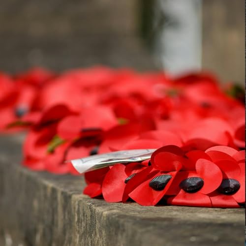 Would you wear a poppy on Remembrance Sunday?