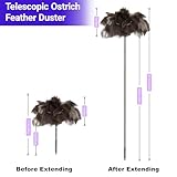NCEDN Genuine Ostrich Feather Duster 100CM - Extendable Stainless Steel Handle, 20cm Long Thick Feathers, Telescopic Duster for Ceiling Fans, Blinds, Furniture, Car, Washable - Image 3