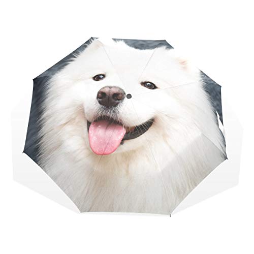 Travel Umbrella Compact Samoyed Dog At Home Windproof Colorful Umbrella Compact Rain & Wind Resistant Compact And Lightweight For Business And Travels #TOP8