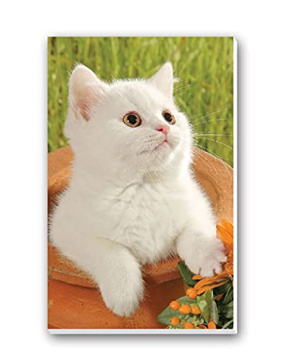 Springbok Puzzles Kittens Bridge Tally Sheets