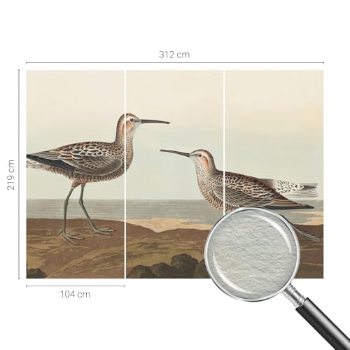 Papier peint intissé salon décoration intérieure oiseaux 312x219 pose murale