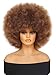 GKtineke Afro Wig 14Inch Afro Wigs for Black Women 70s Mixed Brown Afro Kinky Curly Wig Bouncy Huge Fluffy Puff Wigs Synthetic Hair for Cosplay Daily and Party (Mixed Brown)