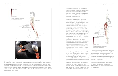 Functional Anatomy of Movement: An Illustrated Guide to Joint Movement, Soft Tissue Control, and Myo