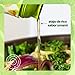 Yondu Vegetable Umami Essence - Premium, Vegan Plant-Based Sauce for Mild & Flavorful Cooking. Great for Soups, Stir-fries & Sauces. (5.1fl oz / 150mL, Organic, Gluten Free)