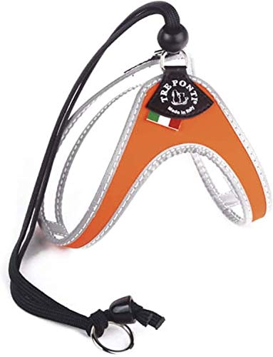 TRE PONTI (g|eB) p/Lp n[lX Liberta (x^) C^A FLUO (TCY2.5 K̏dF5`6s / F37`47 cm, IW)