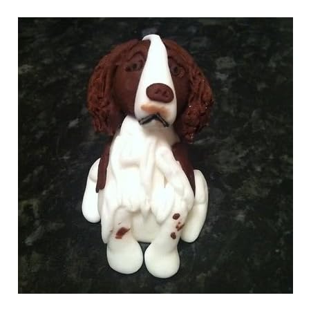 fondant spaniel