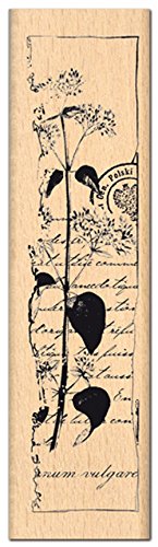 Florileges Design FF112009 Scrapbooking Erbario