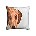 Funda De Cojín 45x45 cm, Mascota Perro Cocker Spaniel Funda De Cojín Hogar Decorativo Almohada Cuadrada para Sofá Dormitorio Sala Cama Hogar Interior, Exterior
