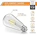 MAXvolador Edison Bulb, Dimmable Vintage LED Filament Light Bulbs Warm White 2700K, 4W ST64 LED Lights 40W Equivalent, E26 Base, Pack of 12