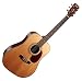 Cort Earth Series Earth70 Acoustic Guitar, Solid Spruce Top, Open Pore