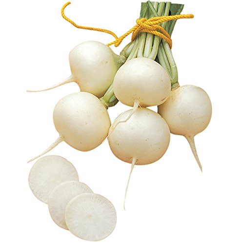Burpee Burpee White Radish Seeds 300 seeds
