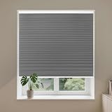 Allesin Cordless Blackout Cellular Shades