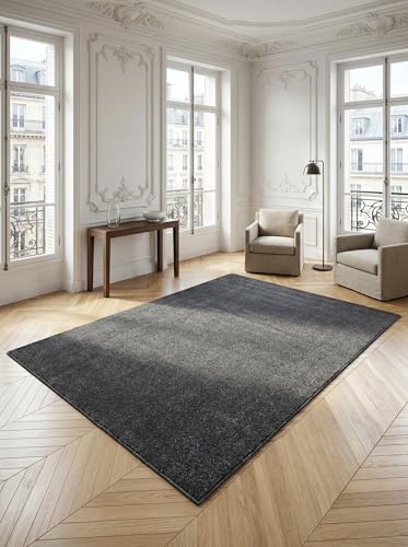 Tapis poils courts gris 200x290 grand tapis de salon uni et lavable