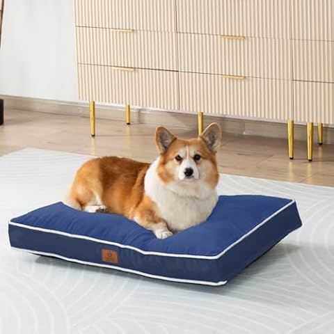 LIORCE Shredded Memory Foam Dog Bed Pillow, 5-inch Thicken Large Dog Crate Bed, Waterproof Orthopedic Pet Bed Mat with Removeable Washable Cover, Blue Cover