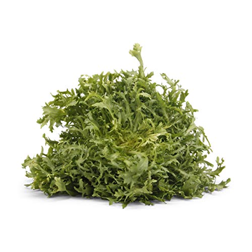 Organic Frisee Lettuce