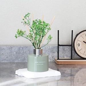 L'odeur Vill Reed Diffuser Set, 4.06 oz(120ml) Vanilla Scented Diffuser with 4 Oil Diffuser Sticks, Home Fragrance Essential Oil Reed Diffuser for Home Large Rooms Bathroom Shelf Decor Lodeur Vill Reed Diffuser Set 406 oz120ml Vanilla Scented Diffuser with 4 Oil Diffuser Sticks Home Fragrance Essential Oil Reed Diffuser for Home Large Rooms Bathroom Shelf Decor