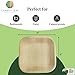 Charity Leaf Disposable Palm Leaf 6" Square Plates (200 pieces) Bamboo Like Serving Platters, Disposable Boards, Eco-Friendly Dinnerware For Weddings, Catering, Events 2