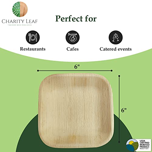 Charity Leaf Disposable Palm Leaf 6" Square Plates (200 pieces) Bamboo Like Serving Platters, Disposable Boards, Eco-Friendly Dinnerware For Weddings, Catering, Events by Charity Leaf - Image 3