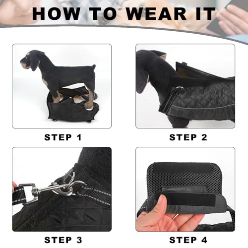 Gsrhzd Tragehilfe Hund, Atmungsaktive Komfortabele Hunde Tragehilfe, Tragbares Leichtes Tragegeschirr Hund für Ältere Verletzte Hunde, L