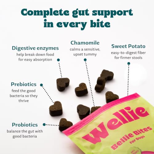 Image of Wellie Bellie Bites Probiotic Dog Treats | Real Chicken Flavor | Prebiotics & Probiotics for Gut Health & Immune Support | 4 Billion CFU | Helps Reduce Gas, Bloating & Bad Breath | 100g (Pack of 1)