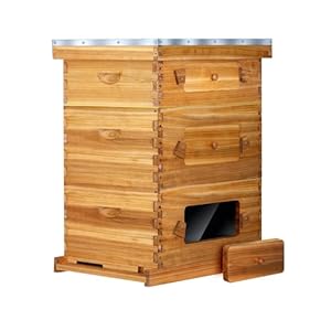 BeeCastle 10-Frame Langstroth Beehive with Windows, Beeswaxed Coated Bee Hive for Beginners with Beehive Frames and Waxed Foundations (2 Deep Bee Boxes & 1 Medium Super Bee Box)