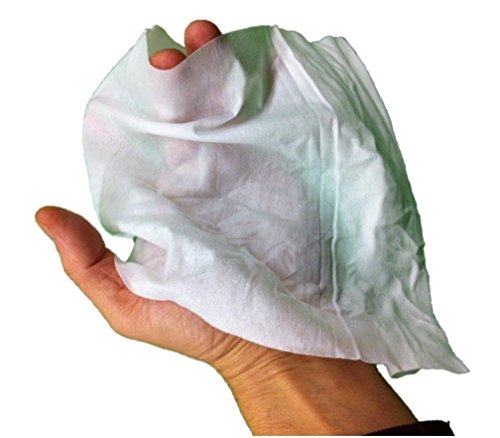 Prima Wipes Adult Washcloths, Bulk 12 Pack Case with 48 Extra-Large 9"x13" Wipes Per Pack - Thumbnail 2