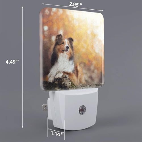Image of Futterya Personalized Custom Plug-in LED Night Light, Customized Set of 2 Dusk-to-Dawn Auto Sensor Decor Lamp