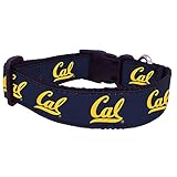 NCAA California Golden Bears Dog Collar (Team Color, Large)