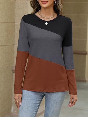 ORANDESIGNE Women's Long Sleeve Color Block Tunics Tops Casual Crew Neck Fall Shirts Blouses3