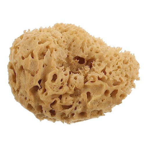 Amosfun C Օi i` 킵 {  C @ C w X|W njJ C X|W  {  | gїp  X|W ti C p