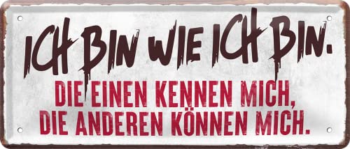 WOGEKA ART Targa in metallo retrò – Ich bin, wie ich bin – Scritta divertente come idea regalo per compleanno, Natale, targa decorativa, 28 x 12 cm, design vintage, targa in metallo 2351