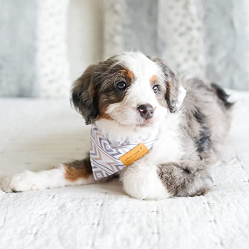 Willow Creek Pet Apparel Bandana Scarf For Dogs & Puppies | Aztec 4 Pack | Dual Layered Durable Fabric |Cute & Modern| All Breeds | Boy & Girl | Adjustable Small, Large, & X-Large (Large) #TOP5