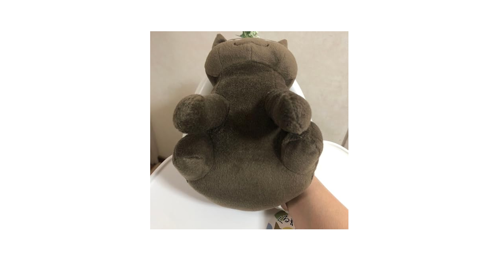Amazon.co.jp: くるねこ 大和 ぬいぐるみ BIG ぼんちゃん 猫