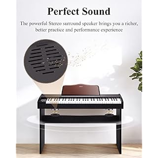 Eastar EK-10S Clavier Piano, 61 touches de taille standard Upright Clavier de Piano numérique pour les débutants avec pédale de sustain et support de livre de musique, cadeau essentiel - Les Beatles, Paul McCartney, John Lennon, RIngo Starr, George Harrison Eastar EK-10S Clavier Piano, 61 touches de taille standard Upright Clavier de Piano numérique pour les débutants avec pédale de sustain et support de livre de musique, cadeau essentiel – Image 6