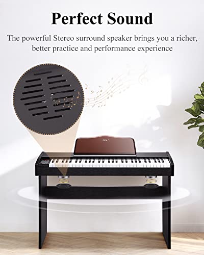 Eastar EK-10S Clavier Piano, 61 touches de taille standard Upright Clavier de Piano numérique pour les débutants avec pédale de sustain et support de livre de musique, cadeau essentiel - Les Beatles, Paul McCartney, John Lennon, RIngo Starr, George Harrison Eastar EK-10S Clavier Piano, 61 touches de taille standard Upright Clavier de Piano numérique pour les débutants avec pédale de sustain et support de livre de musique, cadeau essentiel – Image 7