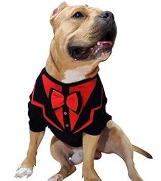 Doxters Dog Tuxedo Large, for Boxers, American Bully, Indie, Pitbull, Puppies of Large Breeds, 007 Mr Bone Red, Black & Red S26