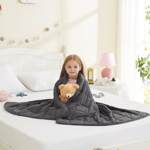 L'AGRATY Weighted Blanket - 36"x48" 3lbs Microfiber Material with Glass Beads Small Blanket for All-Season Summer Fall Winter Soft Thick