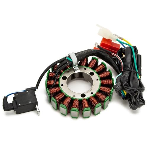 Stator bobine allumage moto résout les problèmes de démarrage sur NX250 AX-1
