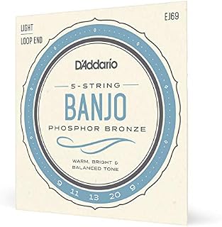 D'Addario EJ69 Phosphor Bronze 5-String Banjo Strings, Light, 9-20