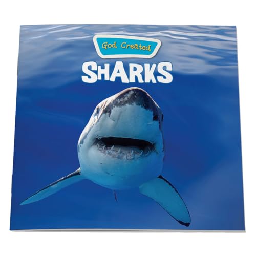 God Created Sharks