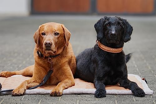 Eskadron Hunde Set Faux Leather Platinum23 Größe M, Farbe Black