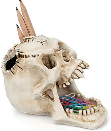 Miniatura 2 de Portalápices de cráneo, soporte para bolígrafos, soporte para pinceles, organizador de escritorio, oficina, tazas, figura estacionaria, osario,