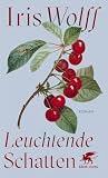Leuchtende Schatten: Roman ...