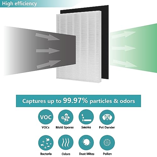 Lhari D360 True HEPA Replacement Filter D3 Compatible with Winix D360 Air Purifier, Item Number 1712-0101-02, 2 H13 True HEPA Filters with 8 Carbon Pre-filters - Thumbnail 5