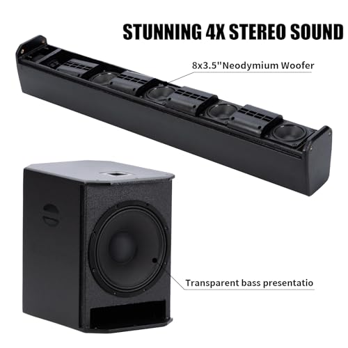 Portable Wireless PA Speaker System