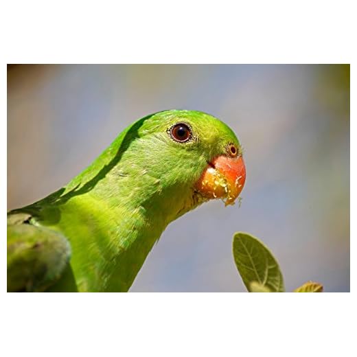 Tamron 70-300mm f/4-5.6 Autofocus Zoom Lens