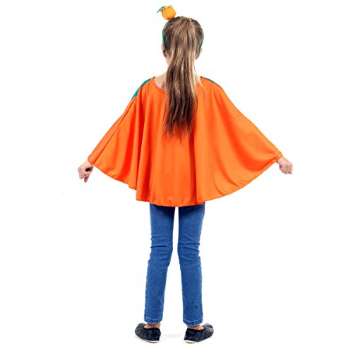 Fantasia Poncho Abobora Infantil 930204-m Sulamericana Fantasias Laranja 6/8 Anos