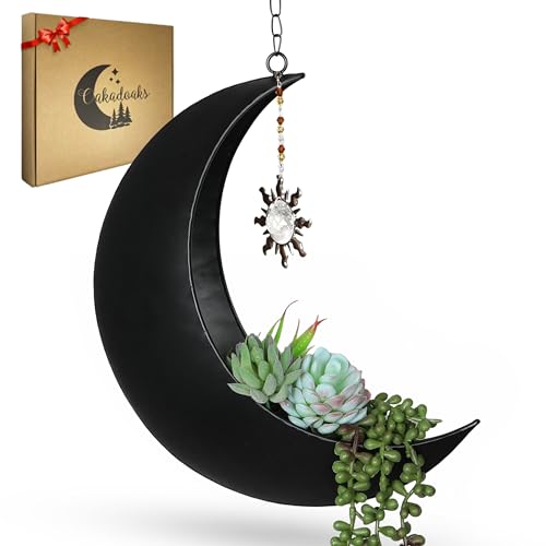 Hanging Moon Planter with Unique Suncatcher - Moon Room Decor