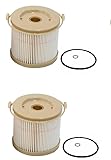 HZYM induction (2PCS) Fuel Filter Element 2010SM 2 Microns Fit for RACOR 500FG/FH Diesel Engine